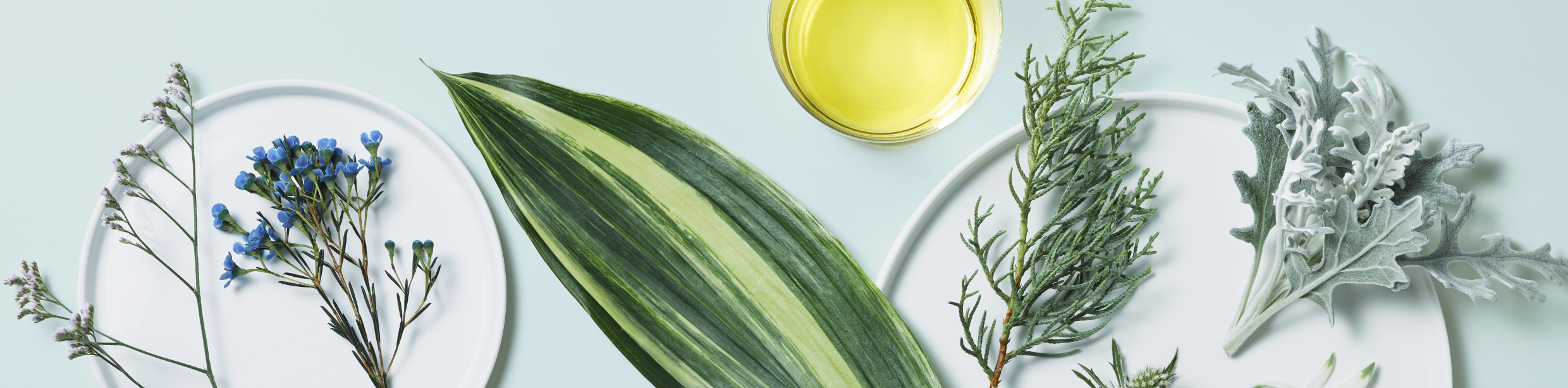 天然成分のイメージ詳細